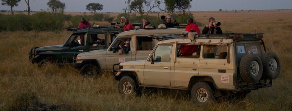 Africa Safari Trip Cost: Luxury Dreams Under $5000