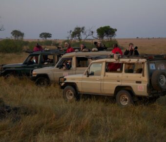 Africa Safari Trip Cost: Luxury Dreams Under $5000