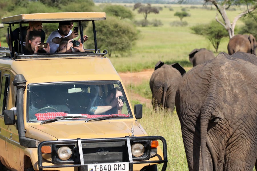 Safari adventure with a yellow vehicle, tourists, and elephants in lush African landscape.