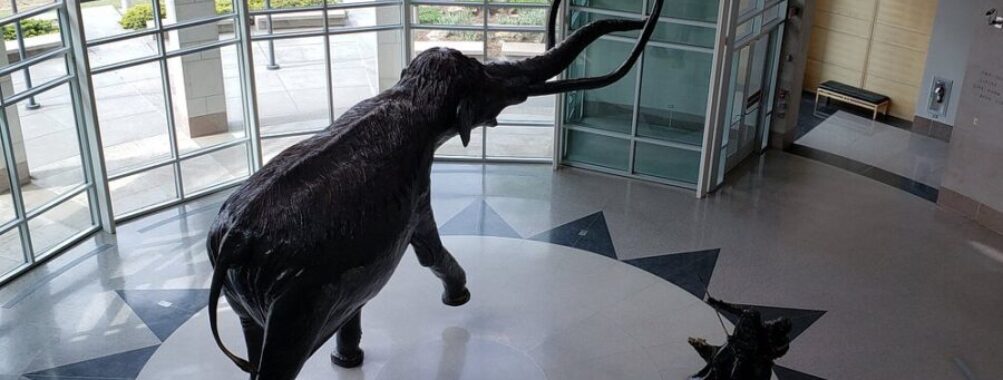 Sam Noble Oklahoma Museum of Natural History