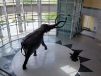 Sam Noble Oklahoma Museum of Natural History