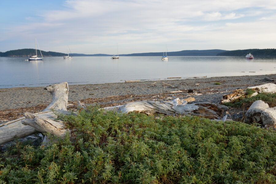 Spencer Spit beach on Lopez Island, Washington, featuring lush vegetation and anchored boats in the background.
