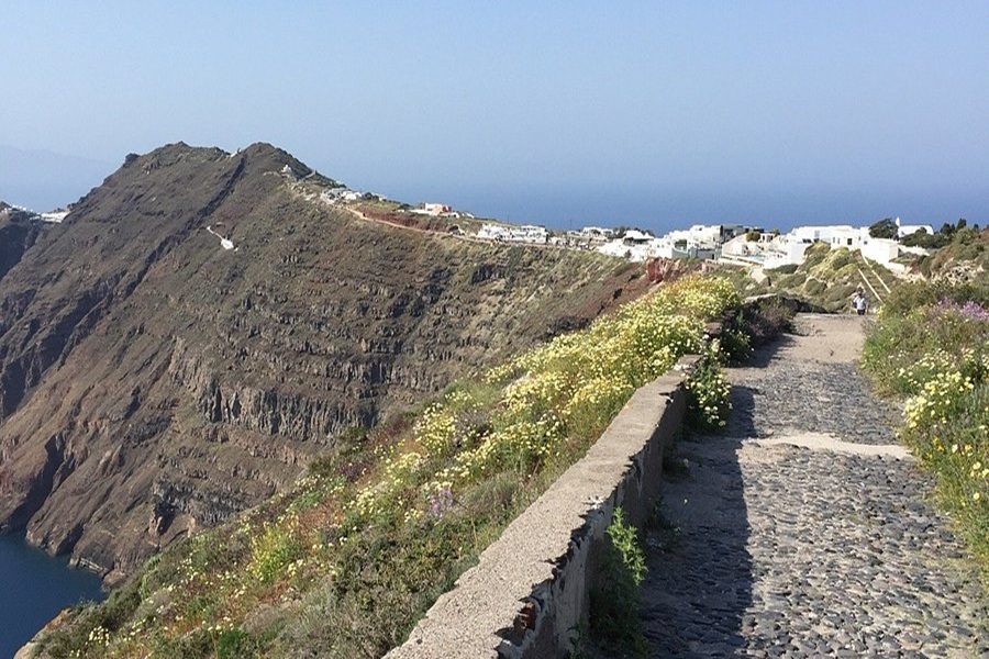 Santorini cliffside path, Cycladic architecture, blue sea, and wildflowers under clear skies.