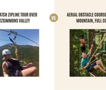 Sasquatch Zipline Tour Over Fitzsimmons Valley vs Aerial Obstacle Course in Cougar Mountain‚ Full Course: Which Tour Is Better?
