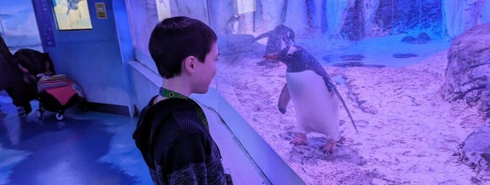 SEA LIFE Centre London Aquarium