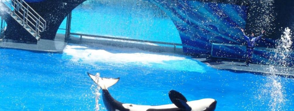 SeaWorld Orlando Florida