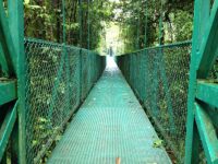 Selvatura Park Suspension Bridge
