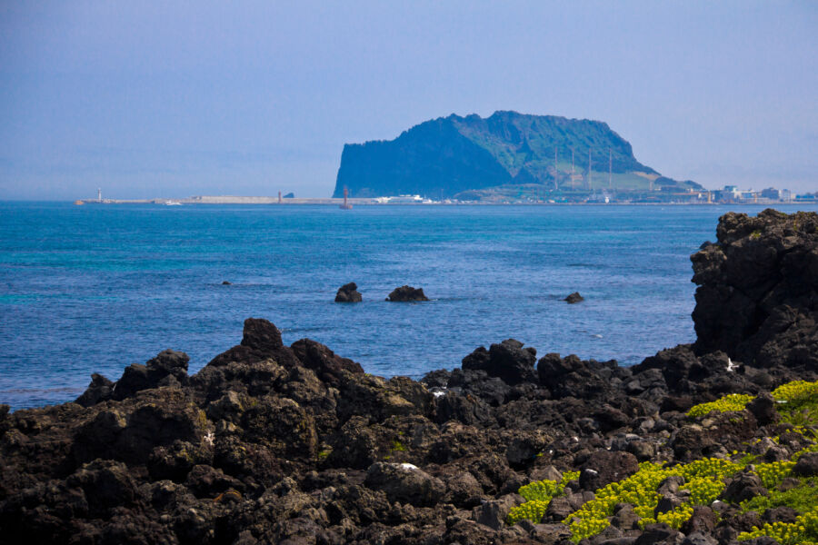 Scenic viewpoint of Seongsan Ilchulbong, a prominent volcanic formation on Jeju Island, South Korea, surrounded by lush greenery