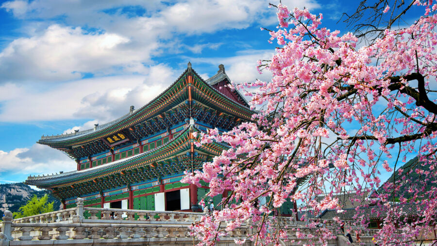 seoul spring