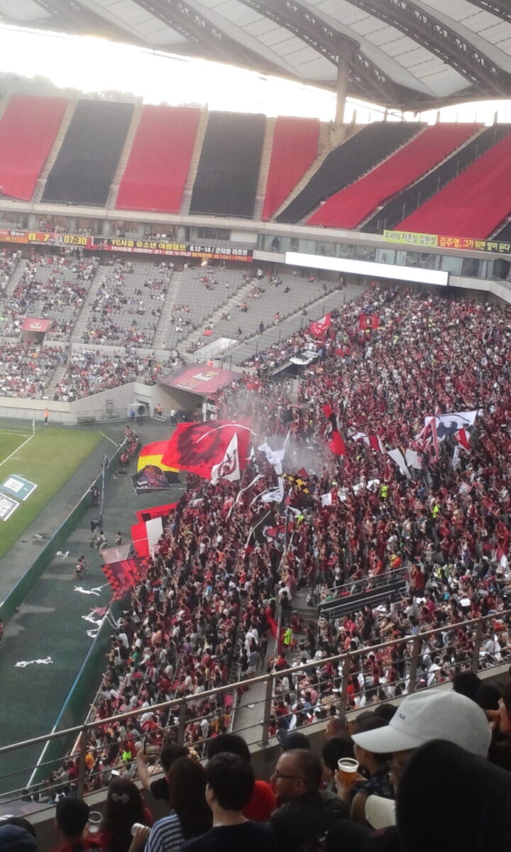 Fans cheering at the Seoul World Cup football game, waving flags and wearing team jerseys in a vibrant stadium