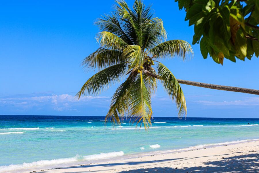 Vibrant tropical beach with calm ocean, palm tree, white sand, and clear blue sky.