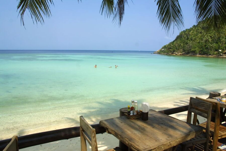 Rustic beach dining by turquoise waters with palm trees and swimmers under a clear blue sky.