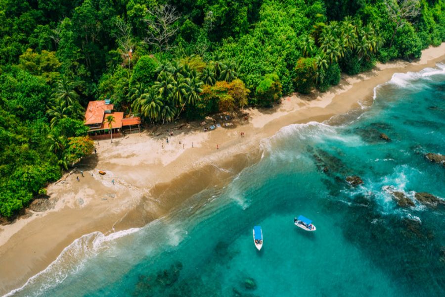 Aerial view of tropical beach with golden sands, lush greenery, and ocean waves.