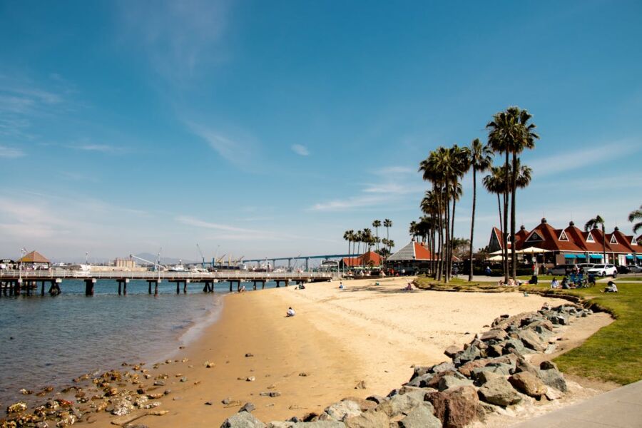 Tranquil beach scene with palm trees, pier, and vibrant community.