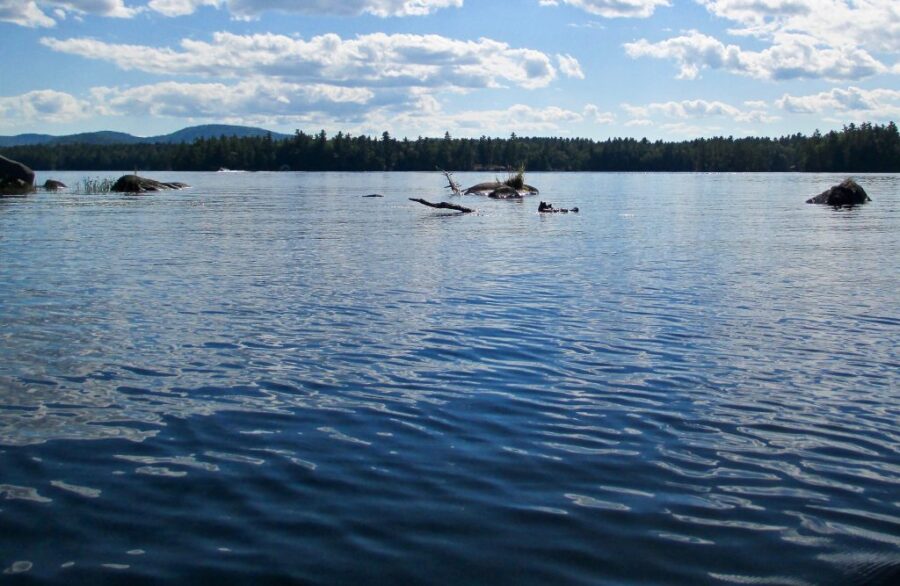 Tranquil mountain lake with rippling water, rocky islets, forest shoreline and cloudy blue sky.