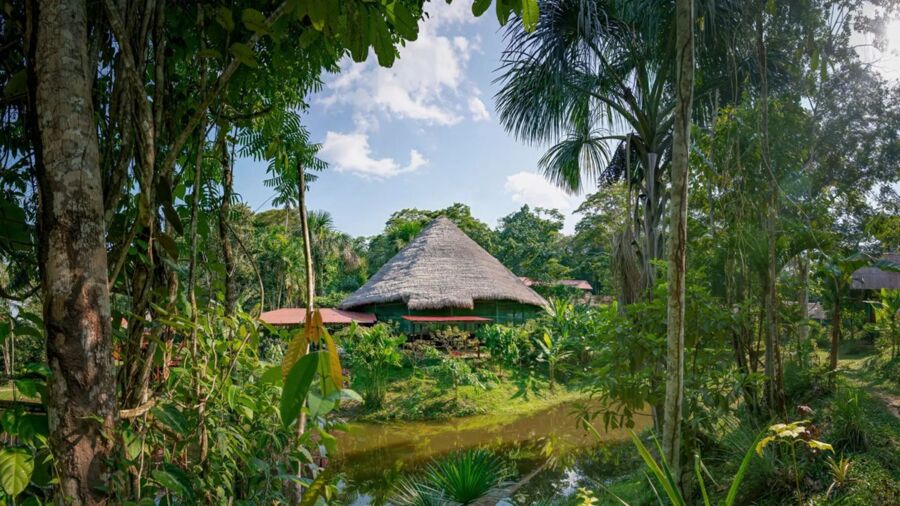 Tropical hut in lush greenery with calm water, palm trees, and vibrant biodiversity.