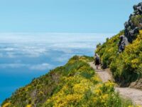 Best Time to Visit Madeira for Hiking