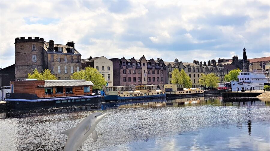 Charming waterfront scene with diverse architecture, houseboats, and playful dolphin in tranquil river.