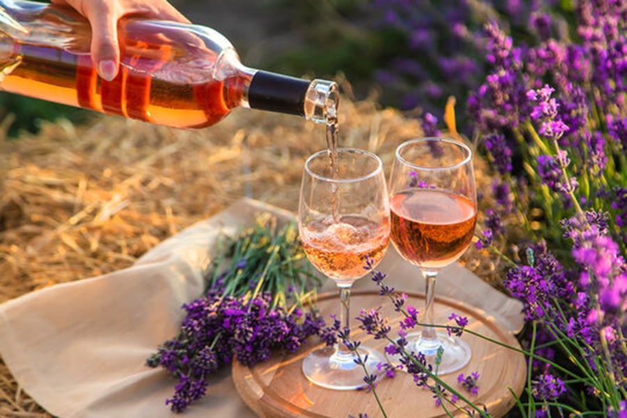 Pouring rosé wine amid lush lavender, evoking summer relaxation and sensory delight.