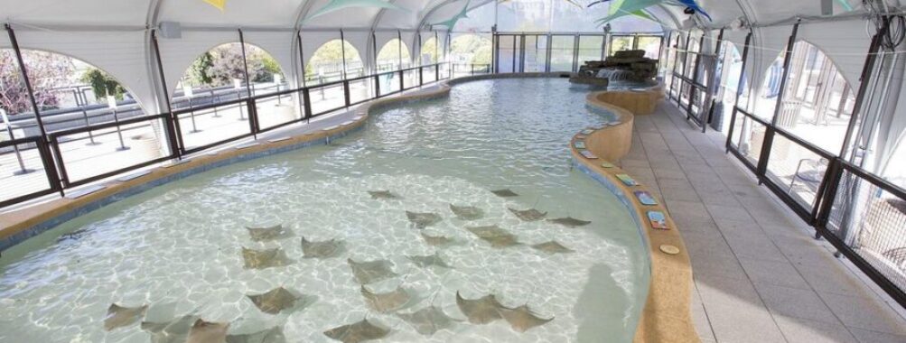 Shedd Aquarium