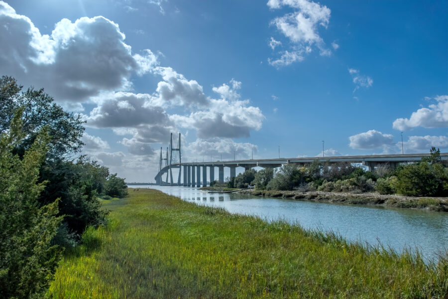 The Sidney Lanier Bridge in Brunswick, GA, features a striking cable-stayed design, connecting both sides of the waterway