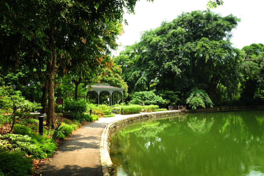 Picturesque view and serene scene of the Singapore Botanic Gardens