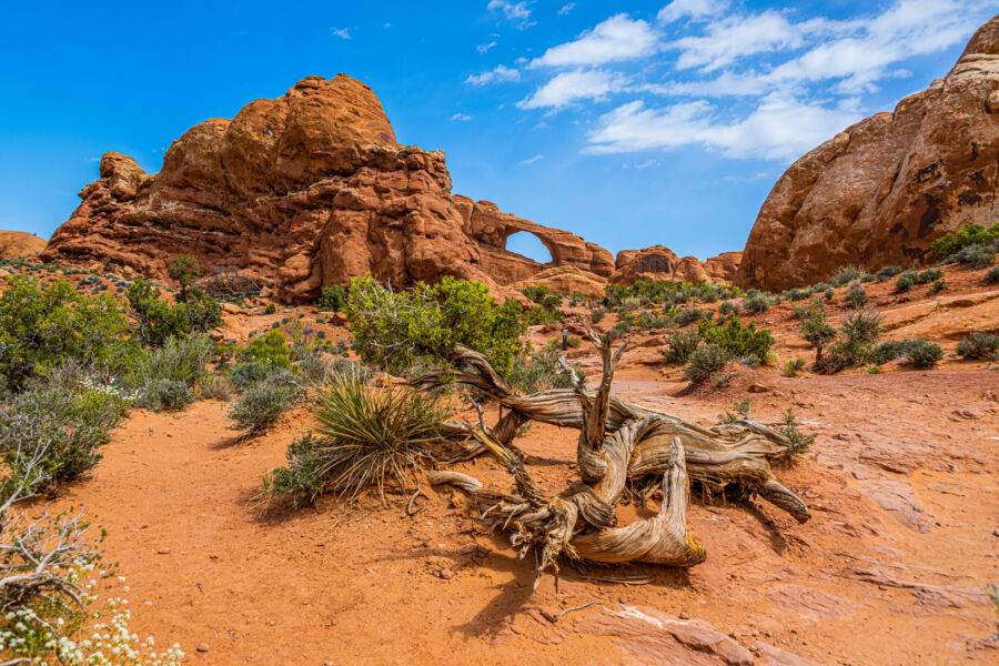 Skyline Arch showcasing a natural stone arch against a clear blue sky in Arches National Park, Utah
