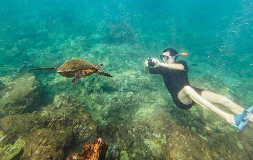 Snorkeler photographing serene sea turtle among vibrant corals 