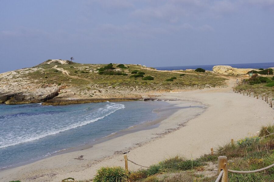 Son Bou beach in Menorca, with a small island prominently located in the middle of the sandy shoreline and azure sea.