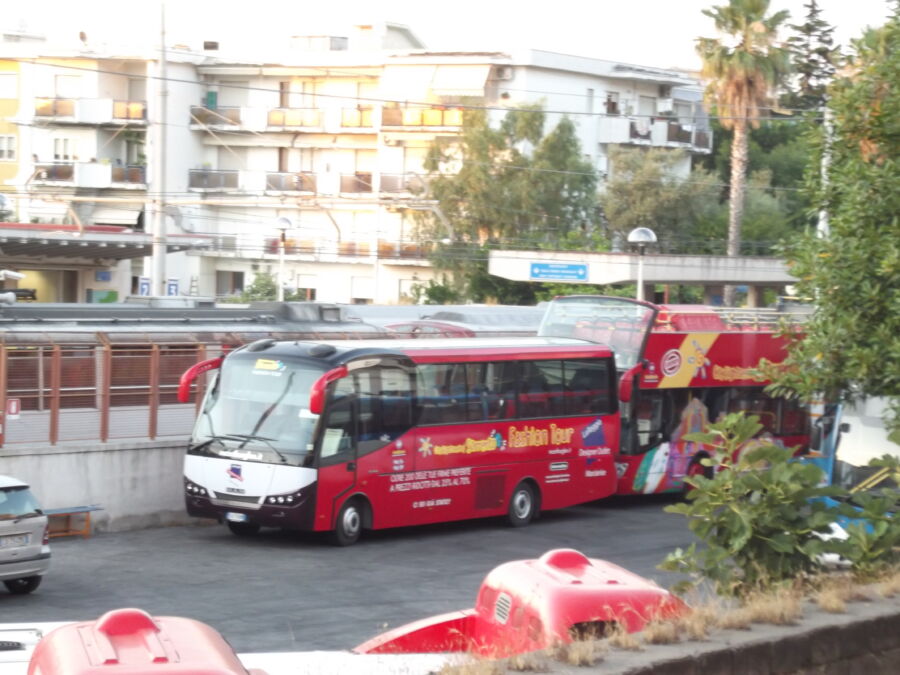 Red bus next to a white bus, with the "Sorrento Bus" sign visible, parked in a public area.