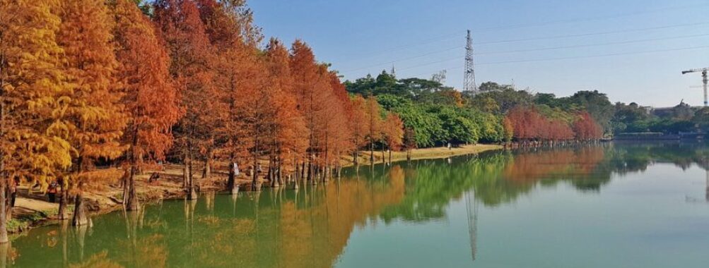 South China Botanical Garden