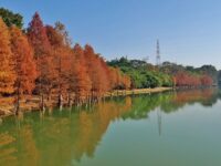 South China Botanical Garden