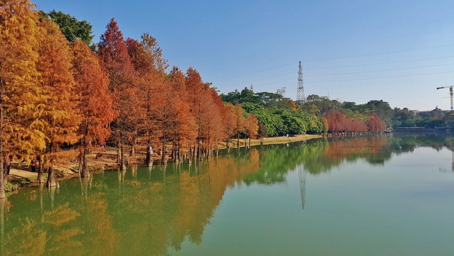 South China Botanical Garden