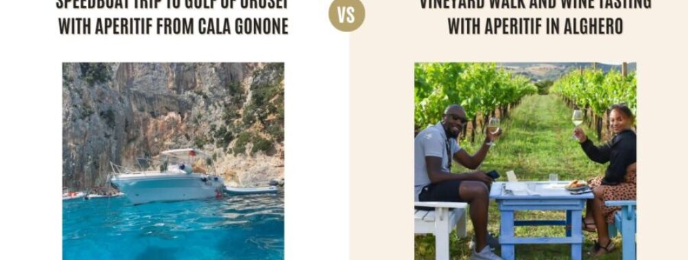Speedboat Trip to Gulf of Orosei with Aperitif from Cala Gonone vs Vineyard Walk and Wine Tasting with Aperitif in Alghero: Which Tour Is Better?