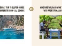 Speedboat Trip to Gulf of Orosei with Aperitif from Cala Gonone vs Vineyard Walk and Wine Tasting with Aperitif in Alghero: Which Tour Is Better?