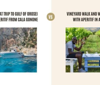Speedboat Trip to Gulf of Orosei with Aperitif from Cala Gonone vs Vineyard Walk and Wine Tasting with Aperitif in Alghero: Which Tour Is Better?