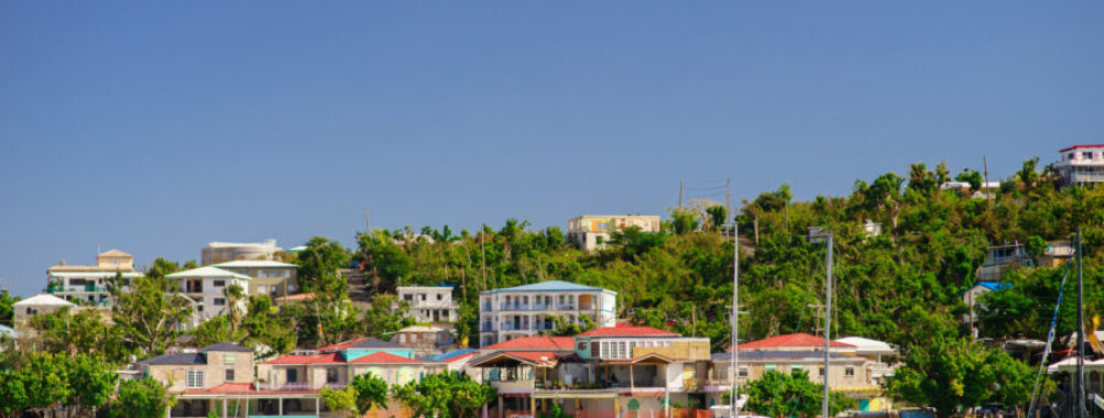 Cruz Bay, St. John, showcasing a bustling harbor filled with sailboats against a backdrop of lush green hills.