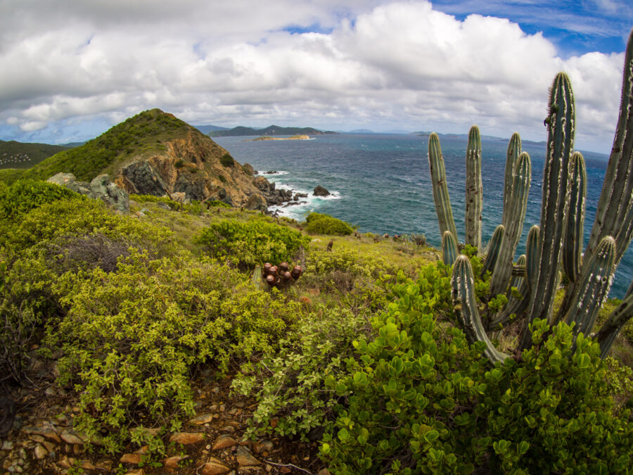 Scenic view of a rocky peninsula on St. John, Virgin Islands, surrounded by clear blue waters and lush greenery.