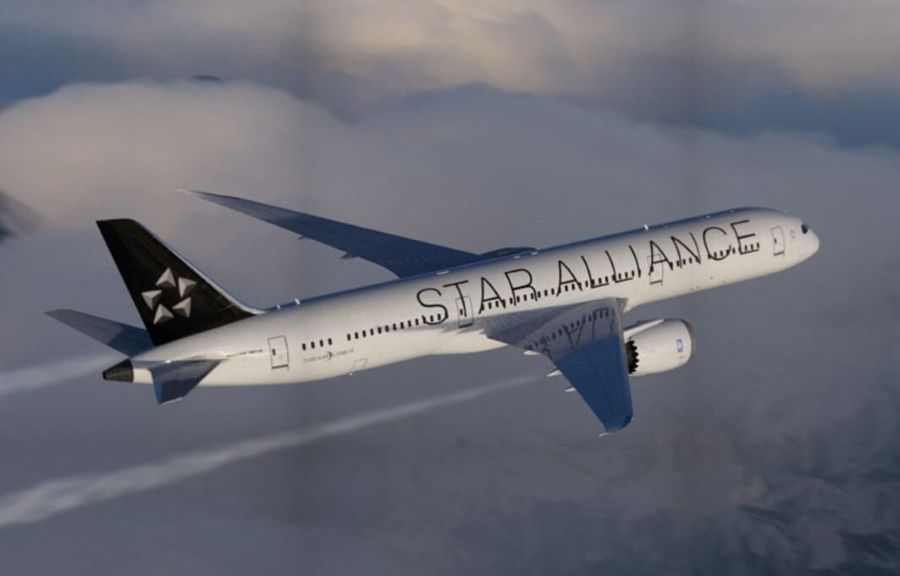 Notable Organizations and Partnerships in Airline Offsetting