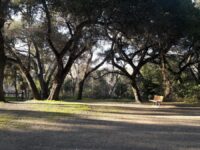 Stevens Creek County Park