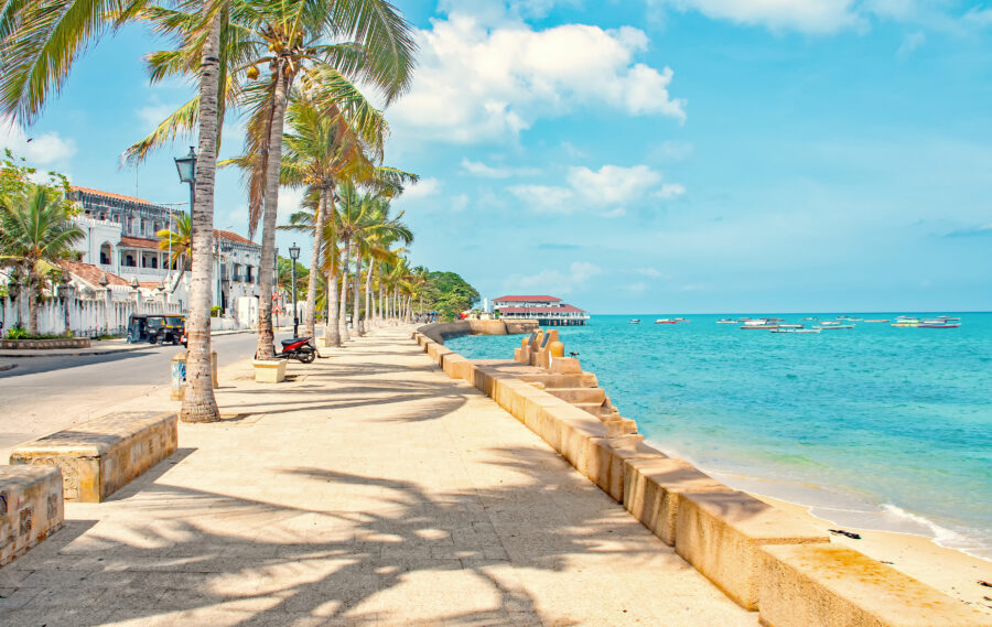 Vibrant street scene in Stone Town, Zanzibar, showcasing historic architecture and bustling local life