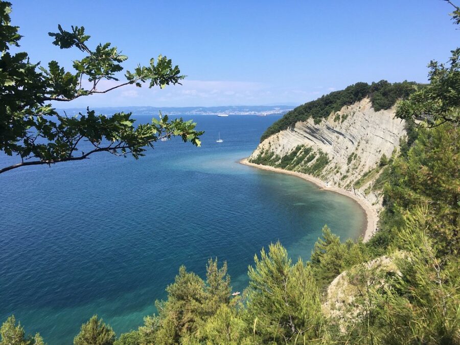 Scenic view from Strunjan Nature Park cliff, overlooking the sparkling sea and rugged coastline below.