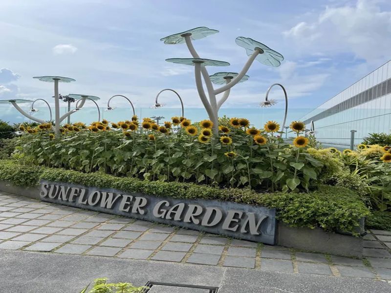 Sunflower garden with sculptures, vibrant flowers, blue sky, and lush greenery.