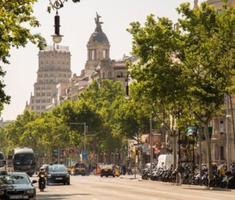 Sunlit tree-lined city avenue with traffic, scooters, historic stone buildings and domed rooftop statue.