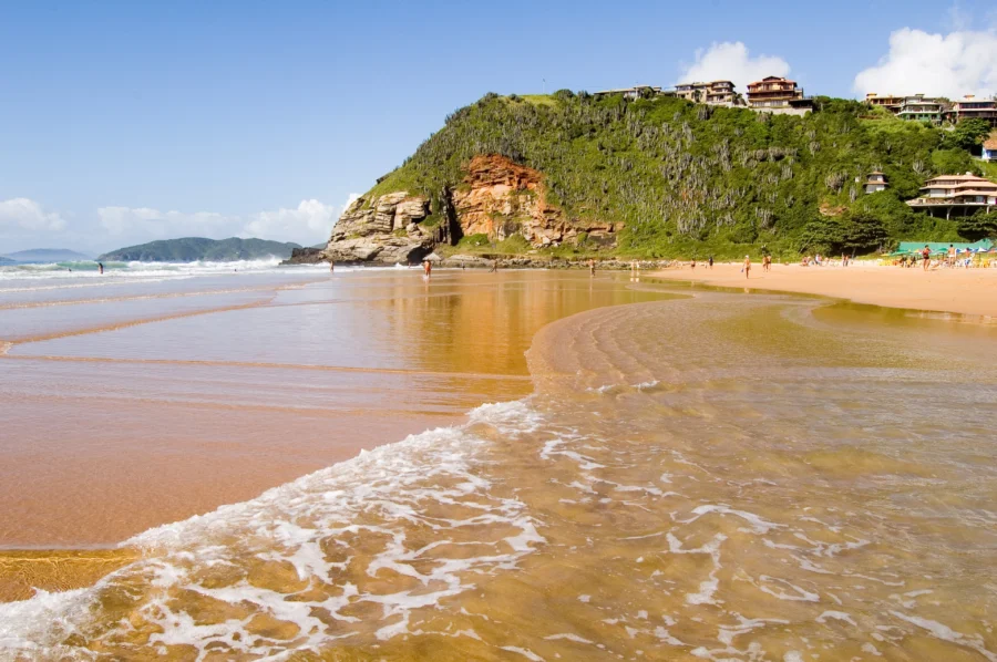 Scenic Geribá Beach with golden sand, green cliffs, ocean waves and seaside houses.