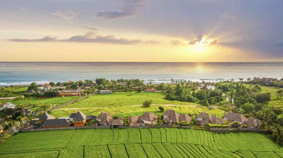 Sunrise over Pererenan rice fields, tropical coastal village, Bali ocean view landscape.