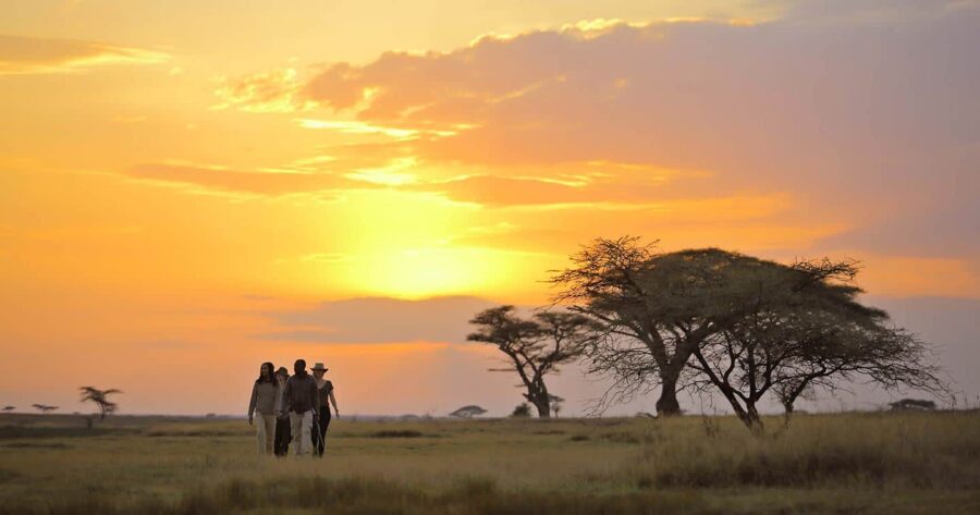 Sunset over Serengeti savanna, acacia trees, people exploring African landscape.