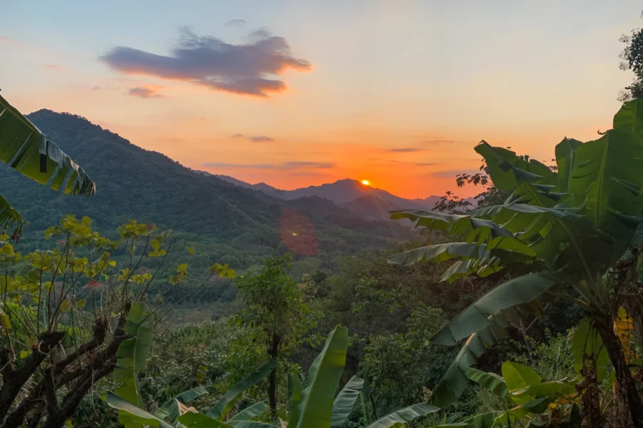 Sunset over mountains with vibrant sky, lush greenery, and tropical leaves in the foreground.