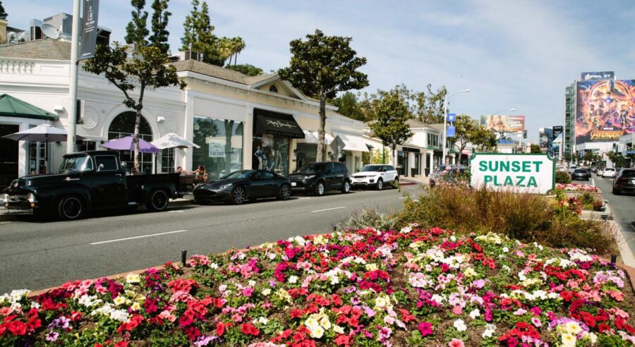 Vibrant West Hollywood scene with flowers, vintage truck, modern cars, and chic storefronts.