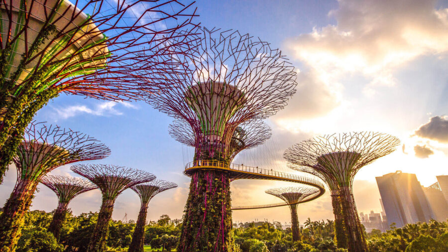 Supertree Grove at Gardens by the Bay in Singapore during sunset, blending nature and technology.